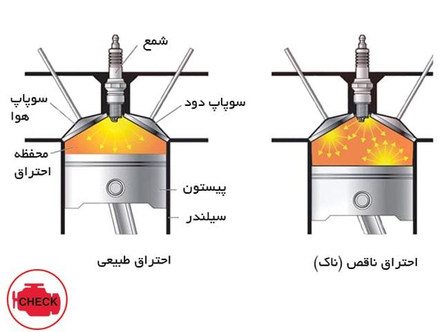 ناک چیست